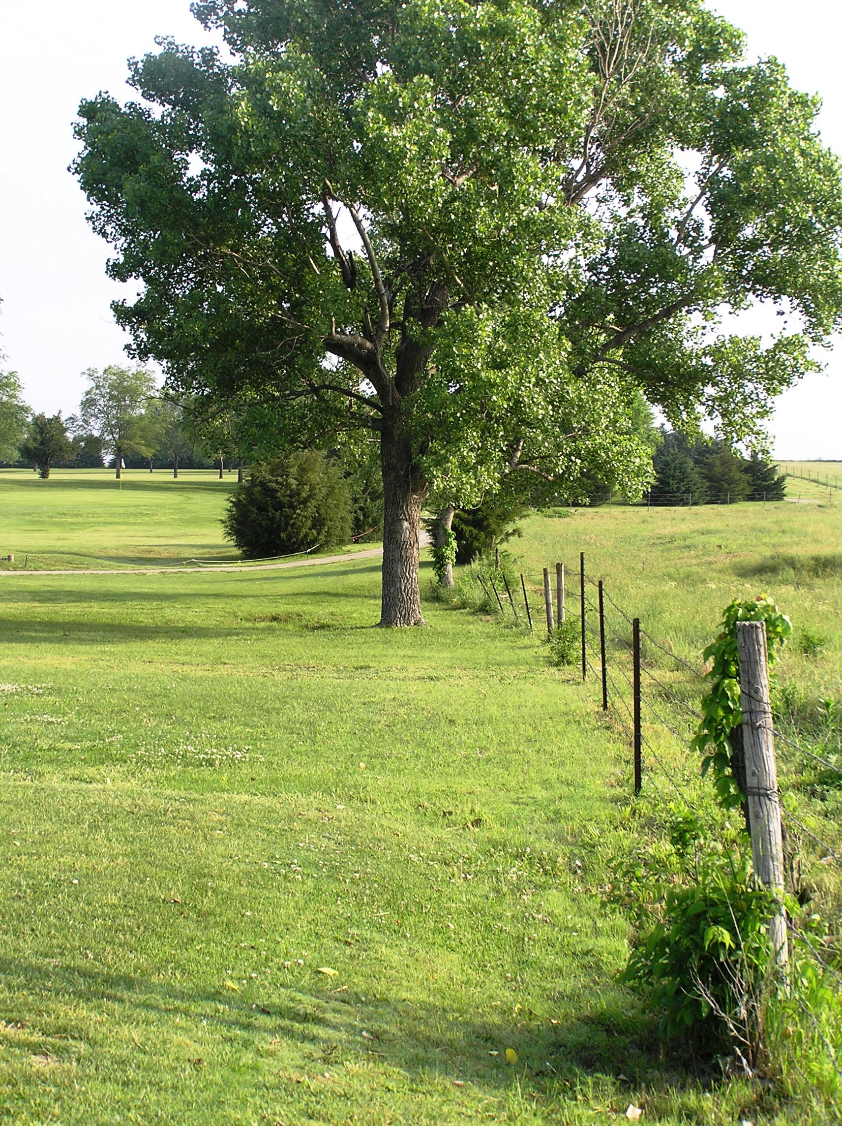 to Kansas Little Sweden USAGolf Course Photos