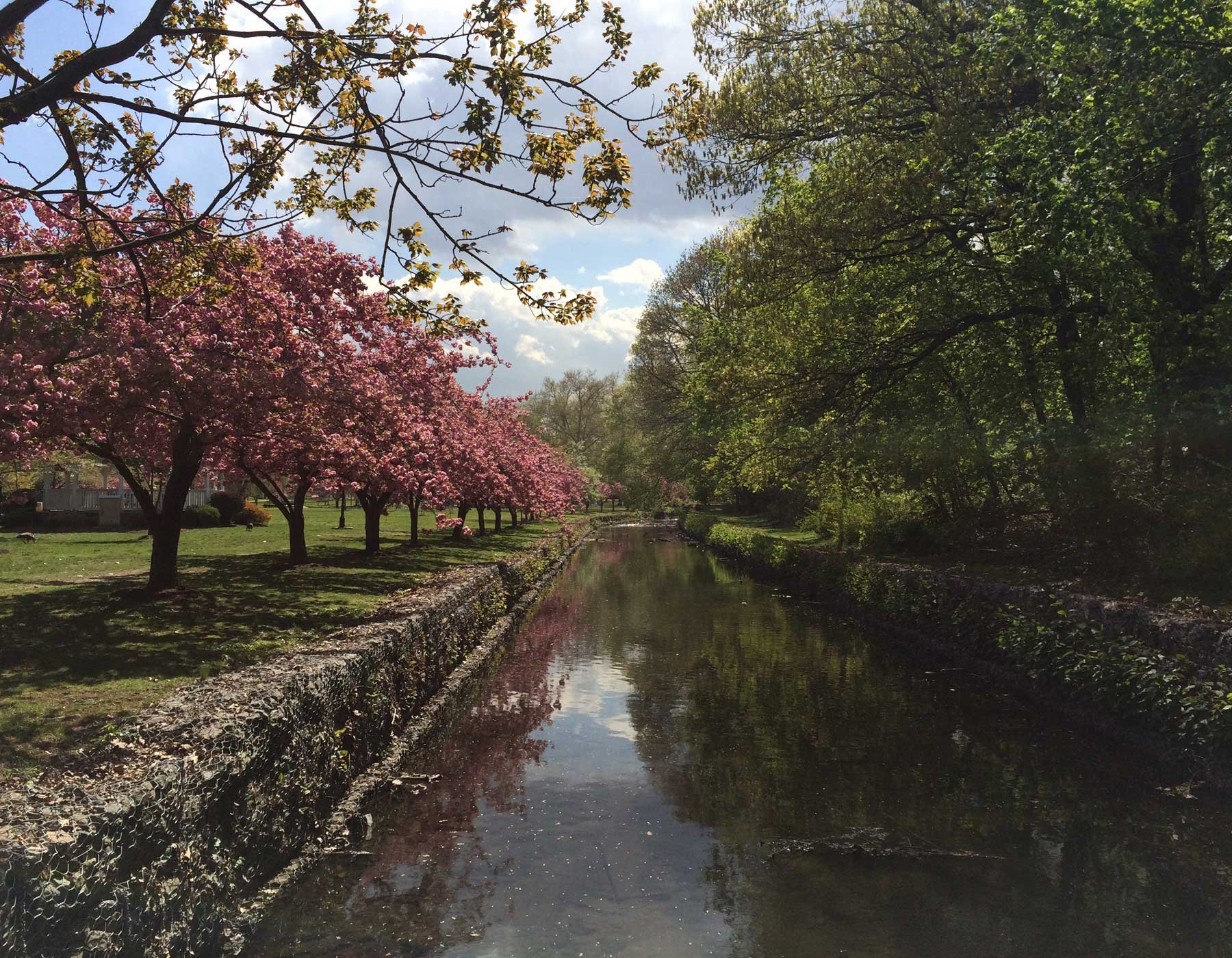 Nutley New Jersey Official Website for The Township of Nutley New