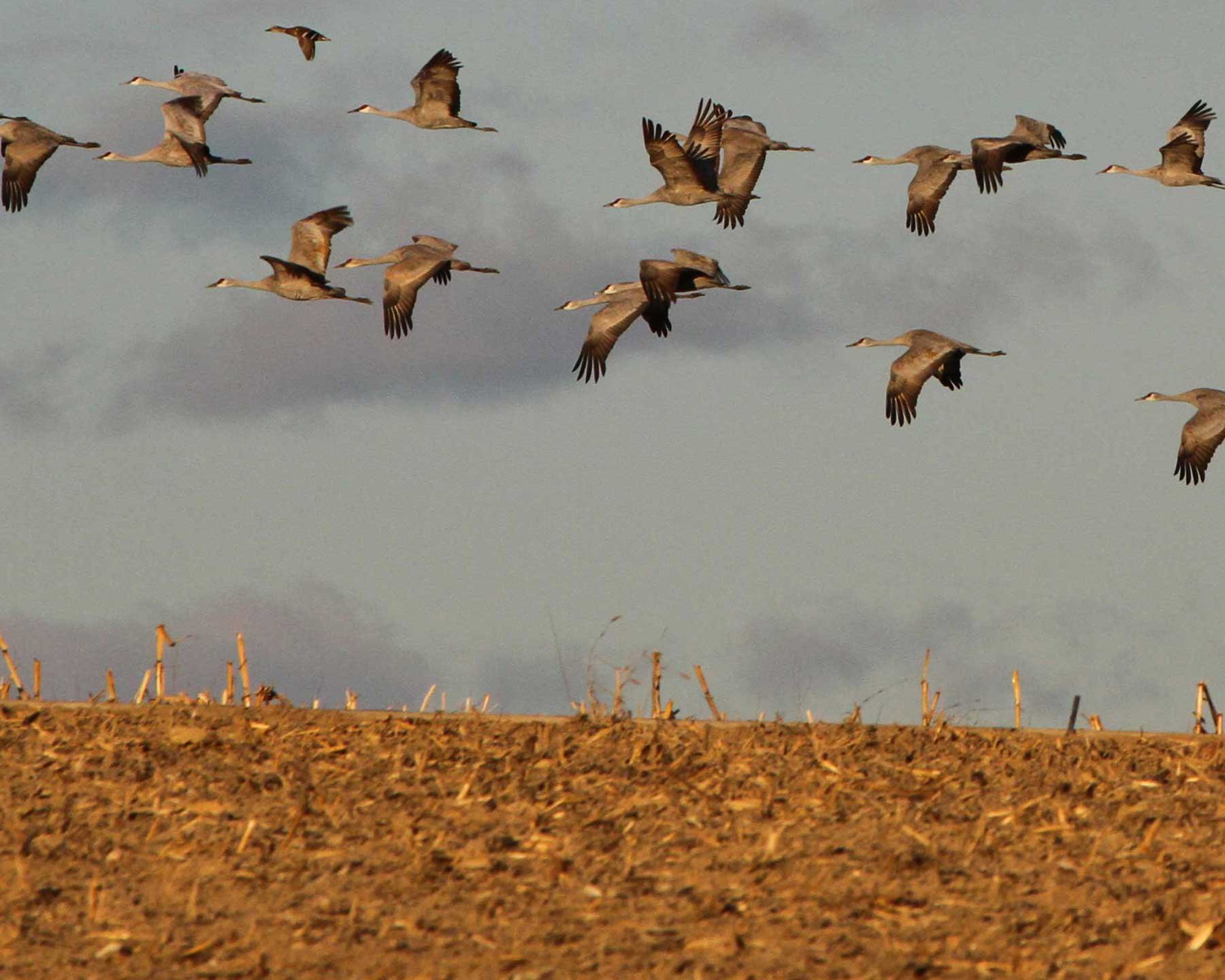 Official site of the City of Othello Washington Home Page