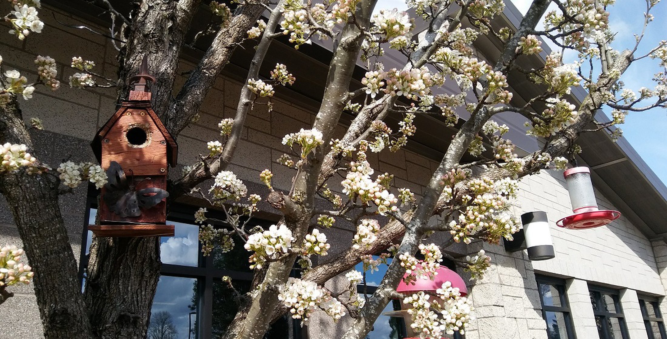 City of Keizer, Oregon Home Page