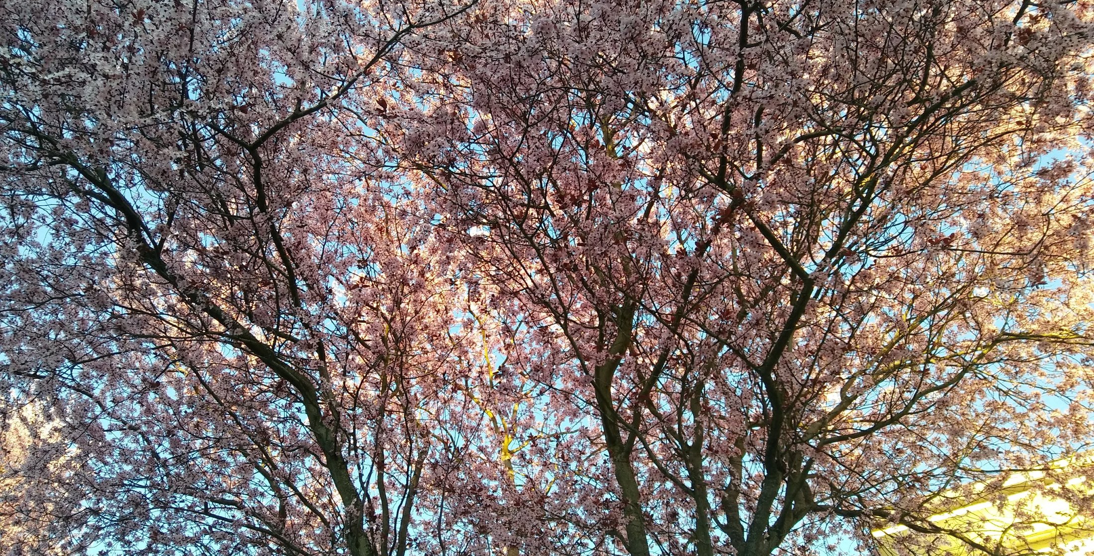 City of Keizer, Oregon Home Page